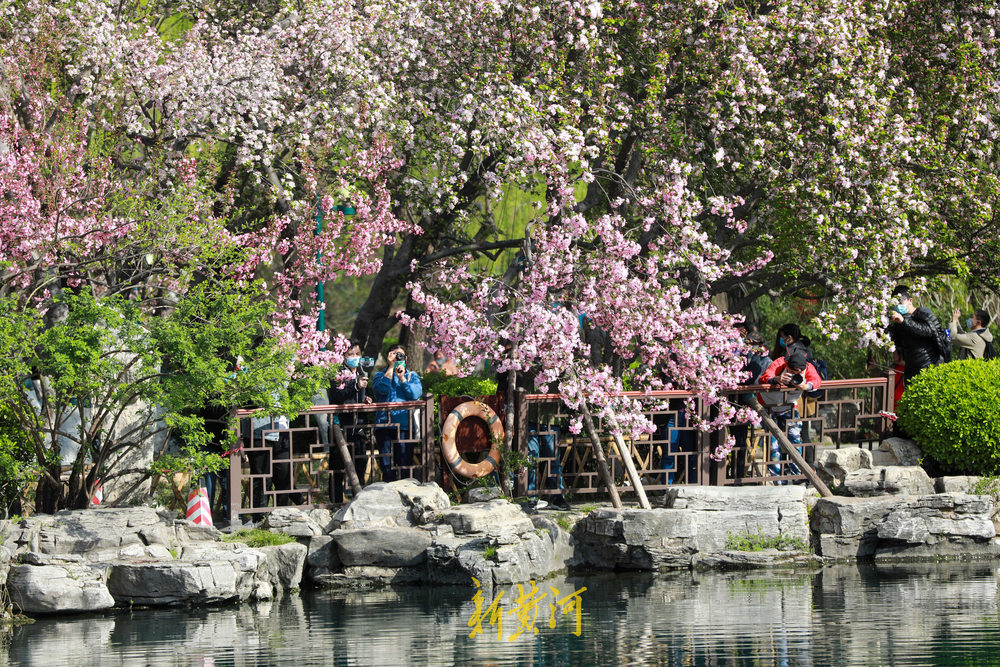 五龙潭公园花卉有了“二维码”，赏花还能学花卉知识