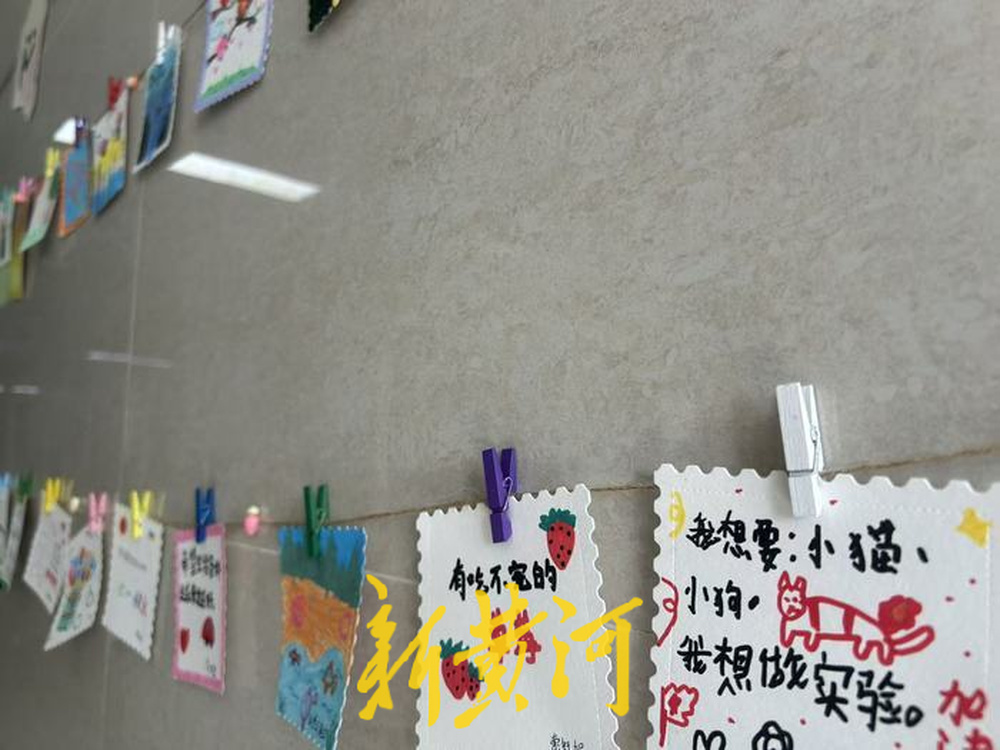 别样“六一”，守护血液病患儿的童真微光 疾病带来的差距，在病房学校抹平