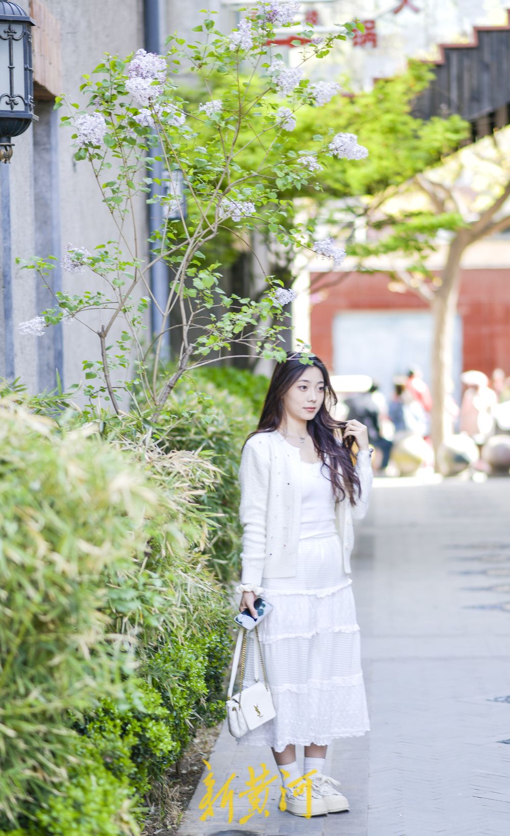 春花齐放增添浪漫气息 老商埠开启春日打卡潮