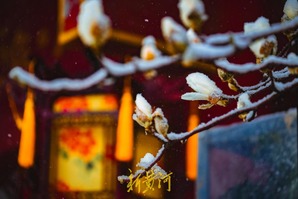 琼楼玉宇，如诗如画！无滤镜无特效的泉城雪景美爆了