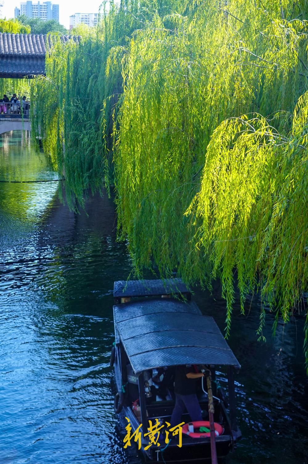 船在画中游！明水古城摇橹船成国庆假日流动风景线