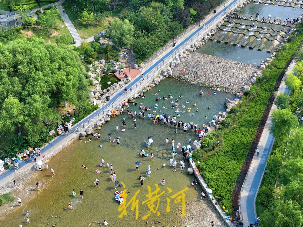 泉城中伏迎高温 济南市民小型湿地里戏水消夏