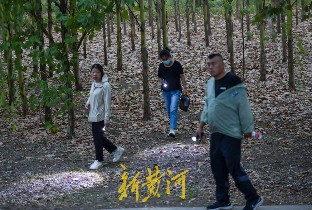 又到了摸知了猴的季节，树林里到处闪着手电筒的光