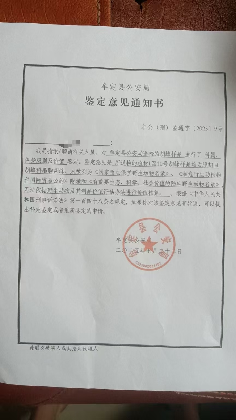 云南两兄妹被胡蜂蜇亡,养蜂人涉嫌过失致人死亡罪被立案侦查-新黄河APP