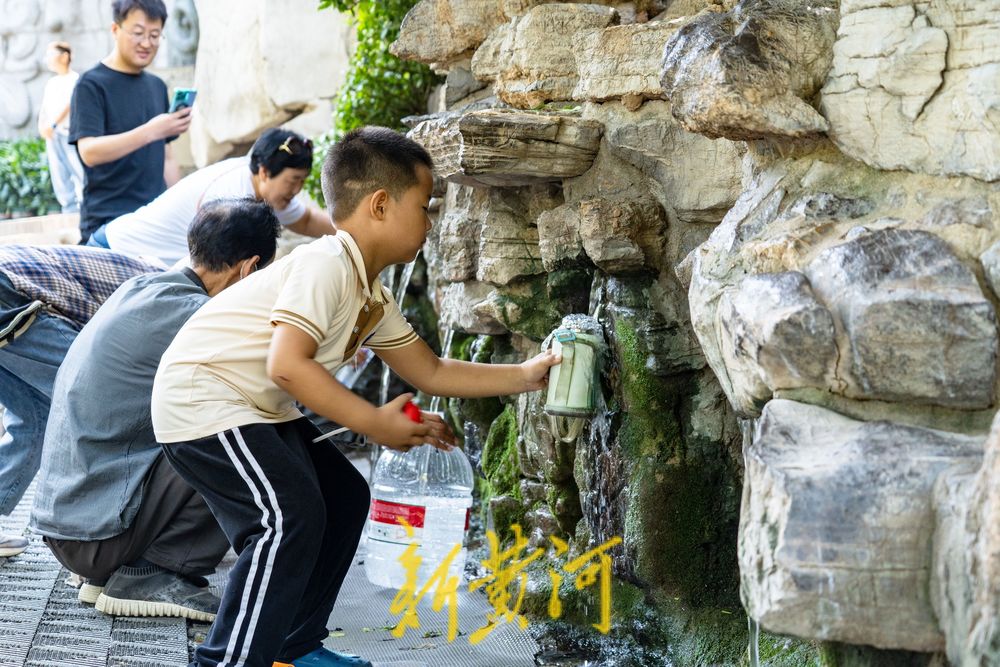泉涌鱼欢庆佳节！济南黑虎泉畔乐享好时光