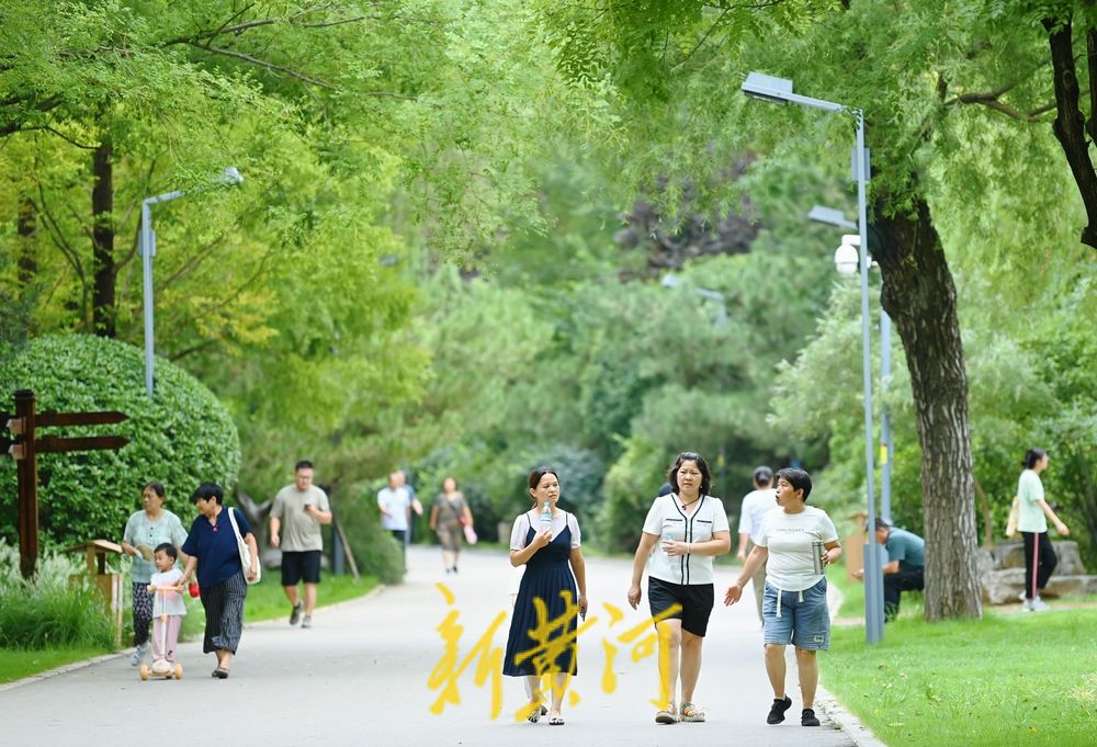 漫步森林公园树荫小道 感受初秋的清凉