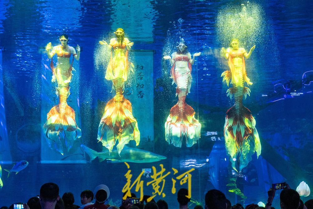 “泉”在济南过大年 