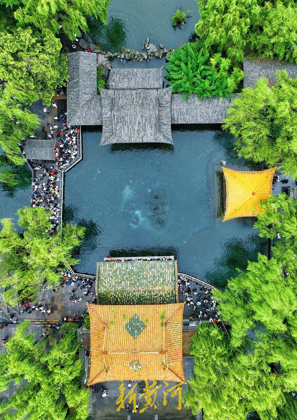 一年四季 泉在济南丨趵突泉雨后撒欢 漫步其中感受别样浪漫