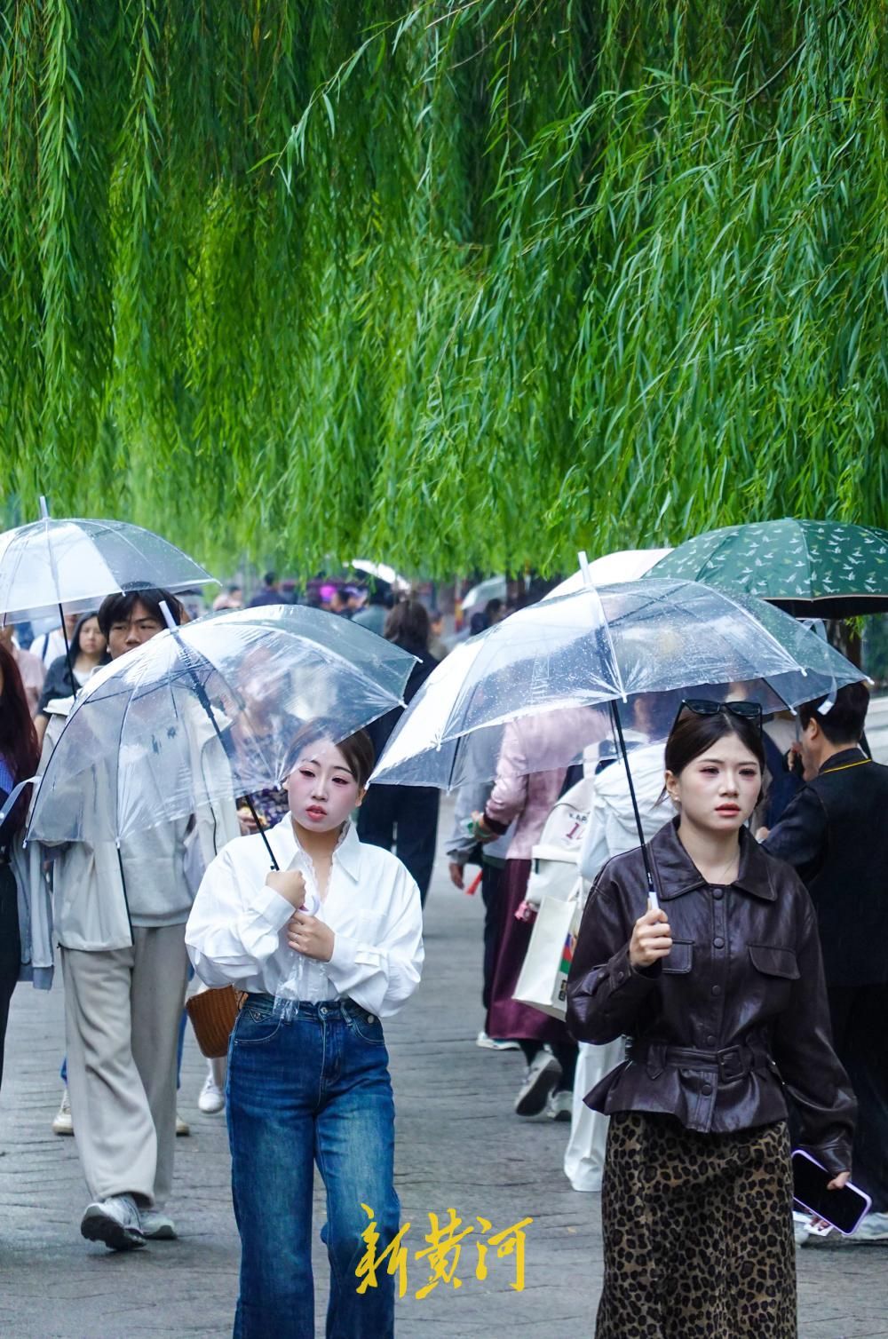 泉城迎来久违降雨，全市平均降水量仍较常年偏少