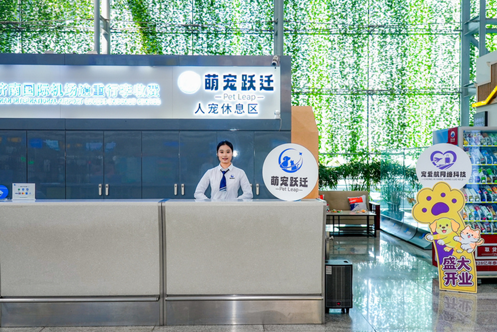 “毛孩子”乘机不再难!济南机场正式启用省内首家宠物专属航空出行服务空间
