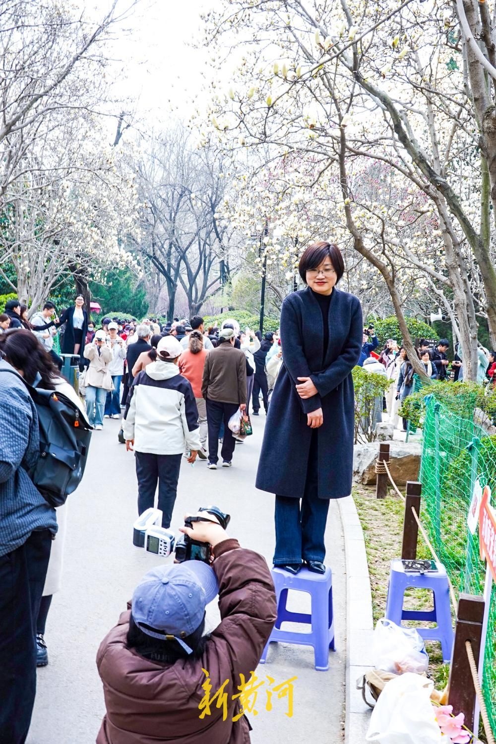 济南：赏花游带火“梯子上的商拍经济”