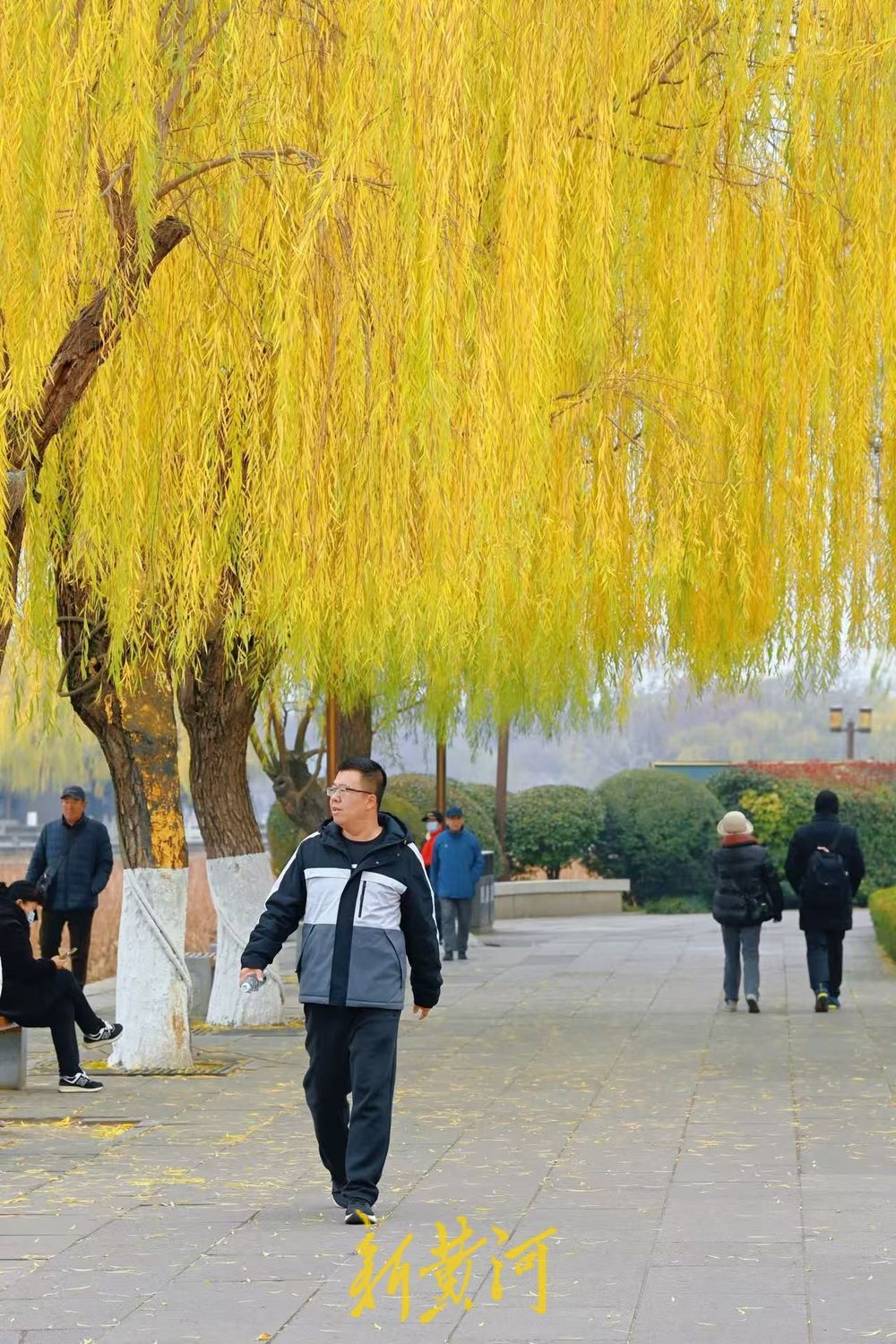 一年四季 泉在济南丨寒潮难挡游湖热情，游客寒风中尽享明湖风光