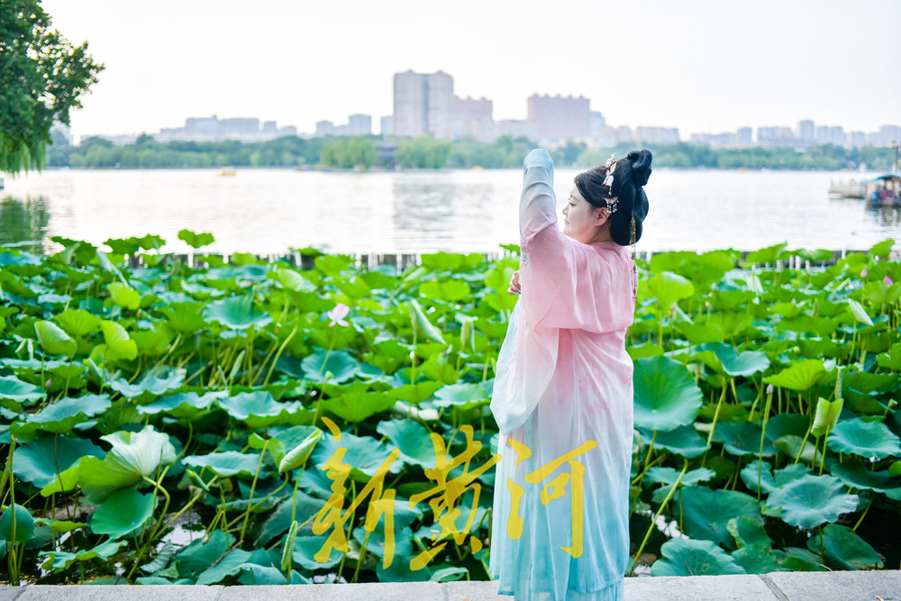 明湖堤岸变身网红打卡点  沉浸式体验“夏雨荷”赏荷
