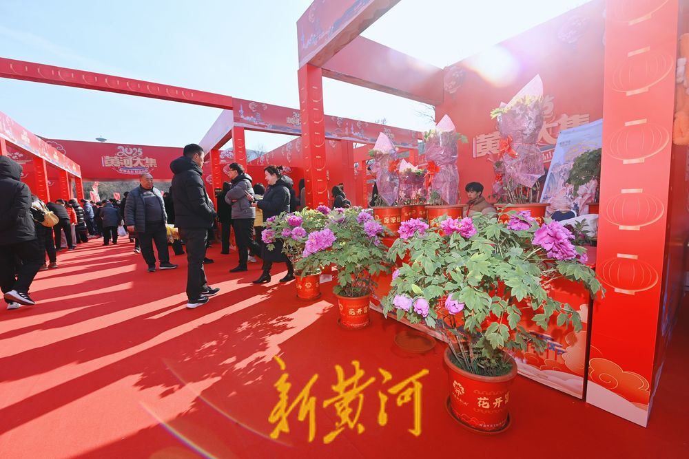 这个周末 来舜耕年货会逛黄河大集