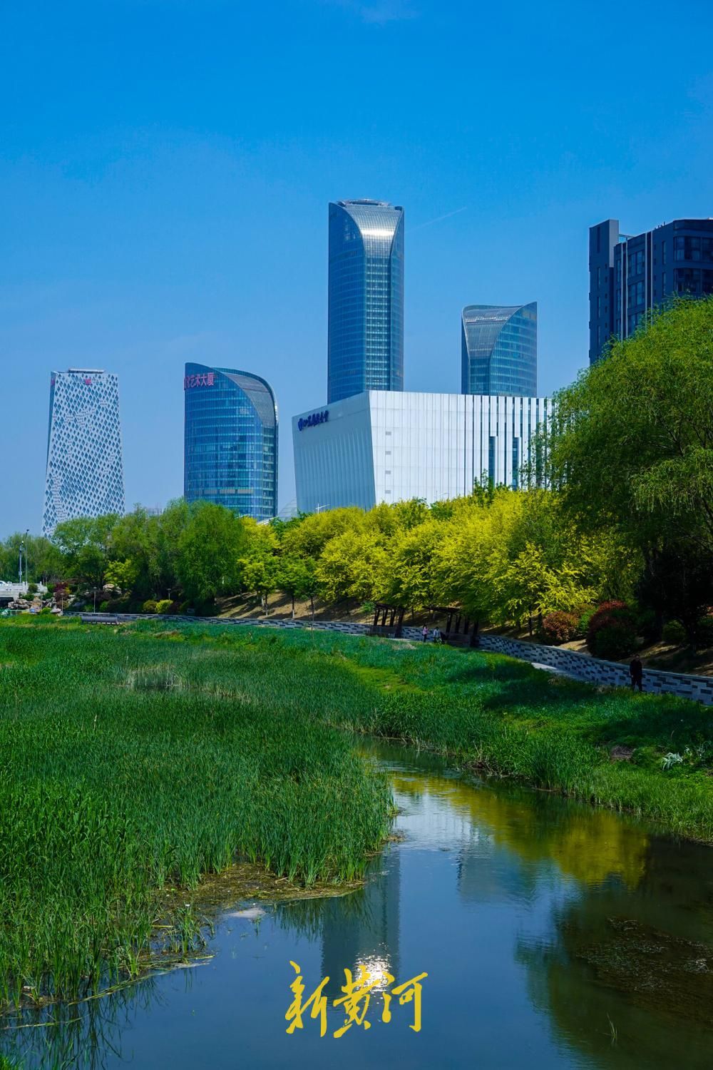 水清岸绿鸟归来，看济南腊山河畔的华丽蝶变