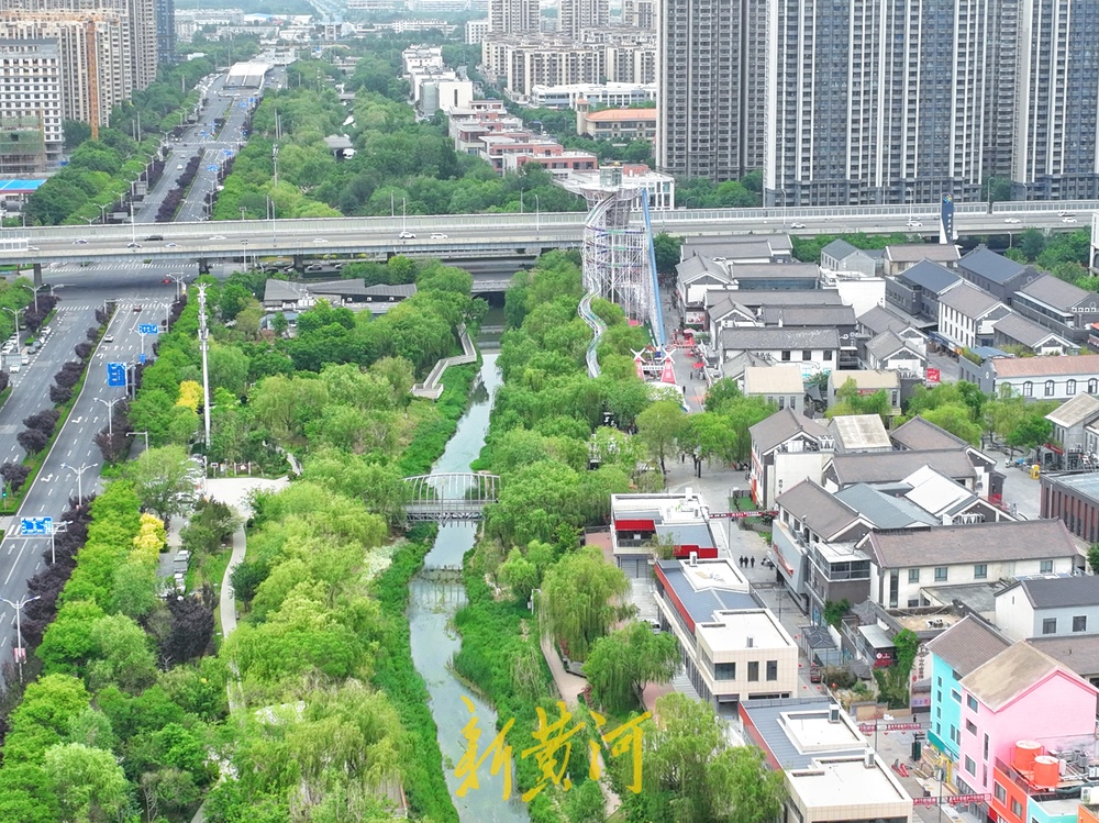 绿柳如烟、满目青翠！绿色打底绘就泉城的初夏  