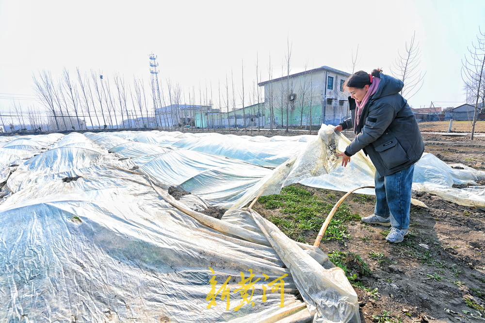 85后幼师辞掉教师编制 转行新农人年入500万元 