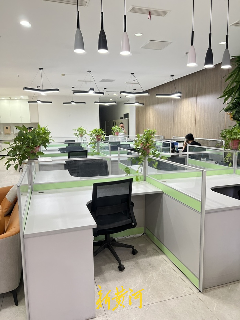 济南日租工位走红，550元月租解锁“轻创业”新场景