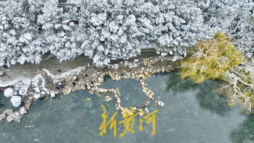 泉城冬雪映碧水，玉柳琼枝入画来