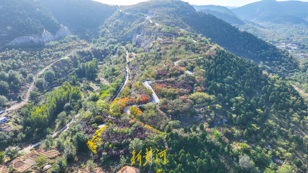 只此青红，山体公园秋色正浓 