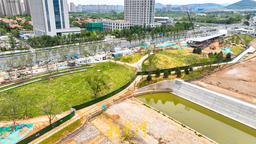 放眼皆是绿！济南杨家河两岸绿化提升工程有新进展