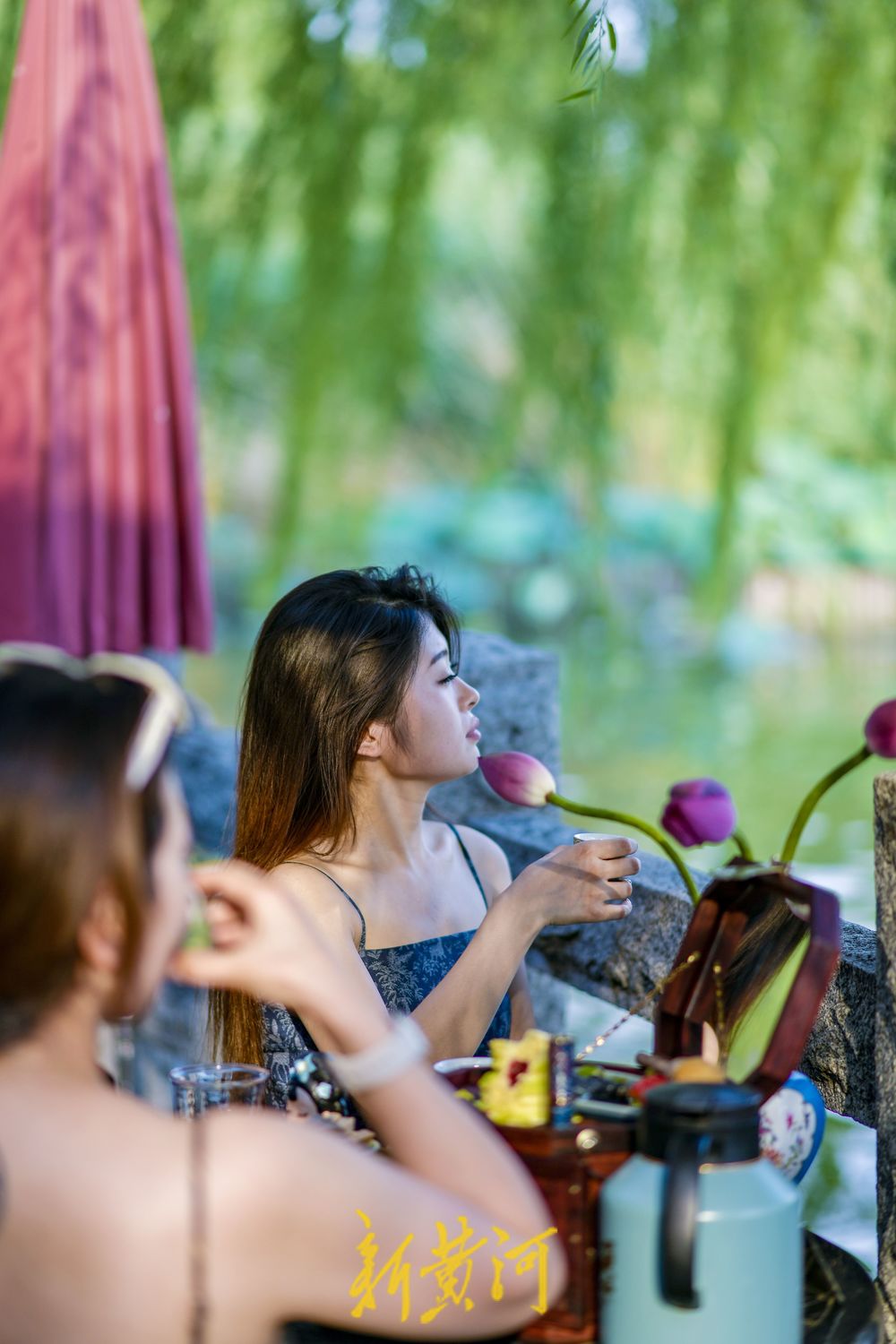 大明湖畔有“凉”方 赏荷打卡品美食  