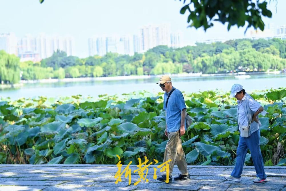 别样秋光，济南大明湖秋分荷正盛