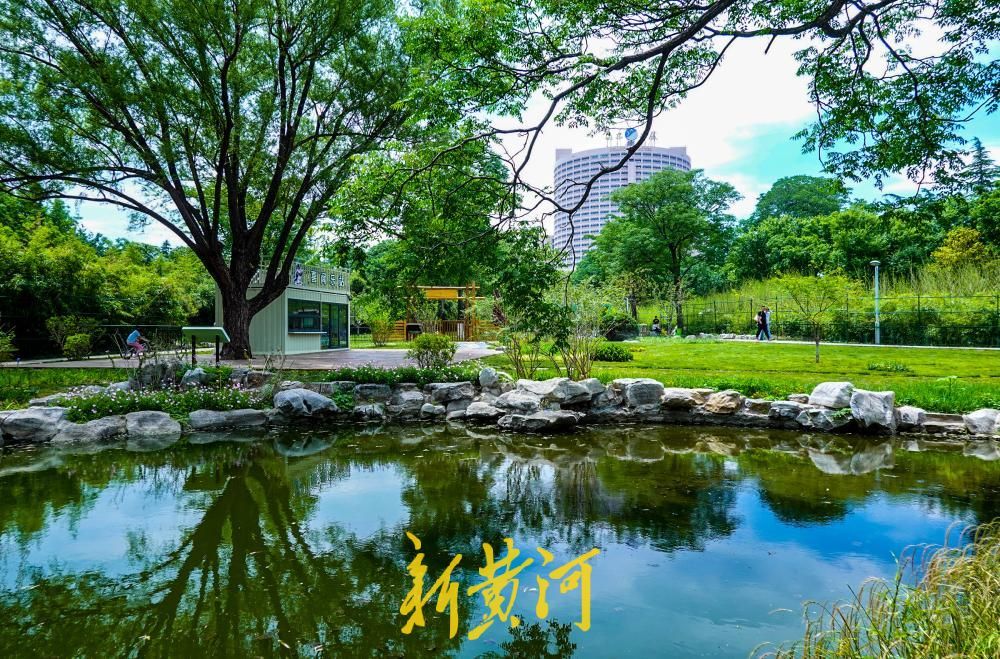 城市有“野”趣，济南首个生境花园里人与动物共享绿色家园