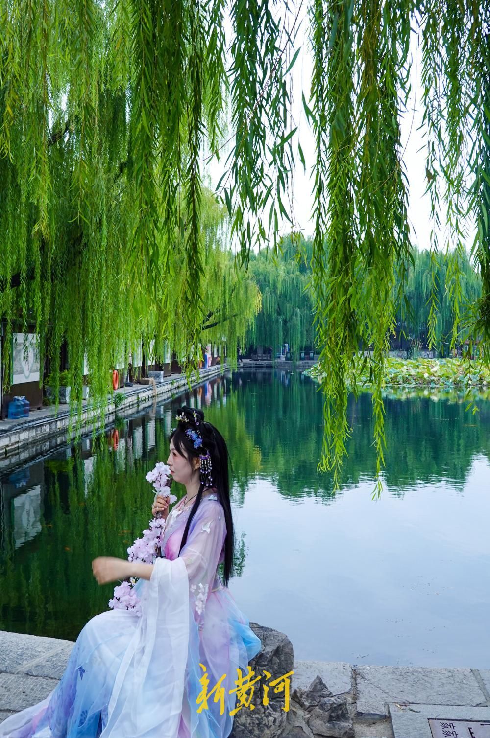 济南百花洲秋色入画来，残荷垂柳倒映成景