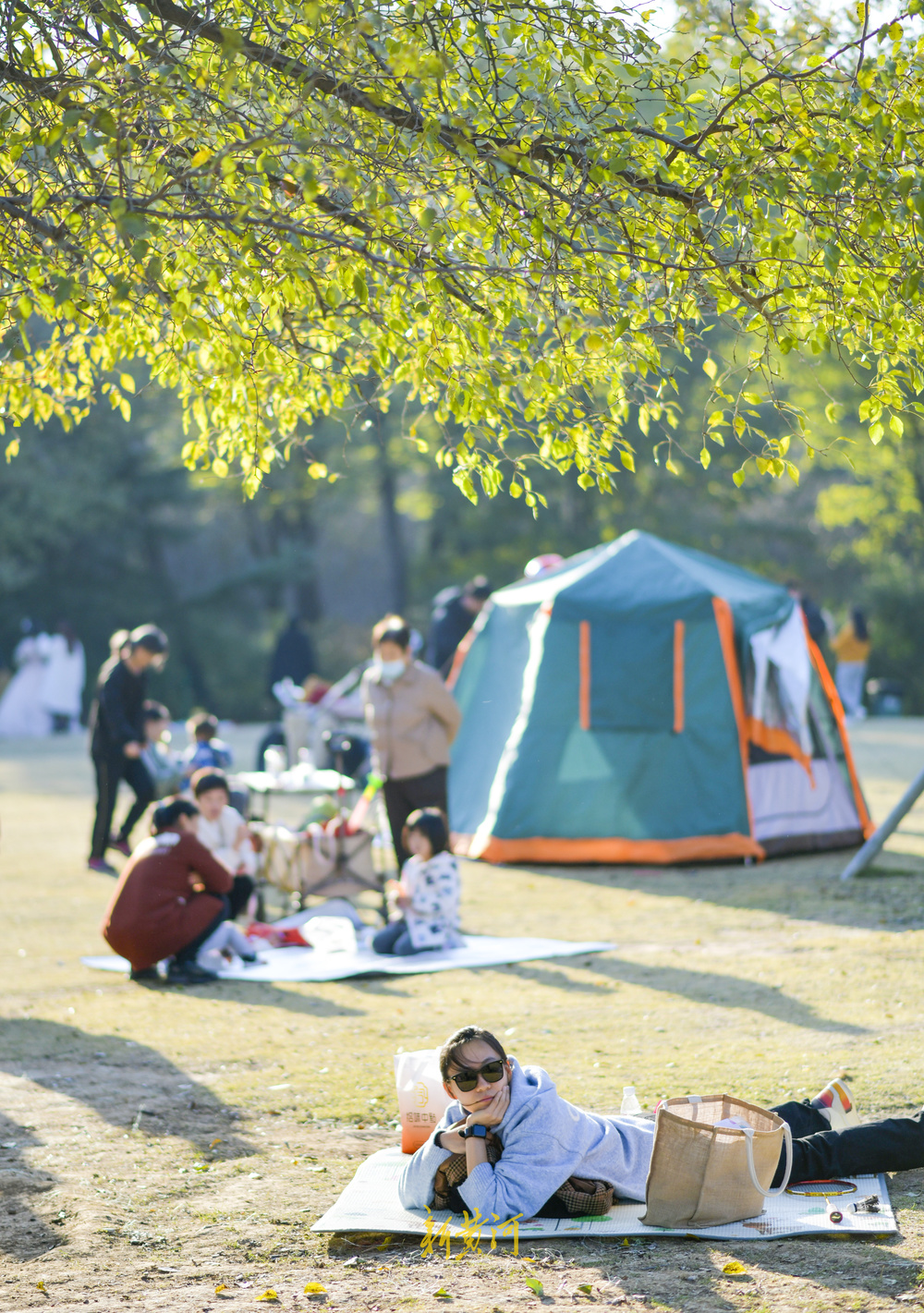 气温回升秋去秋又回  最美共享绿地感受初冬暖阳