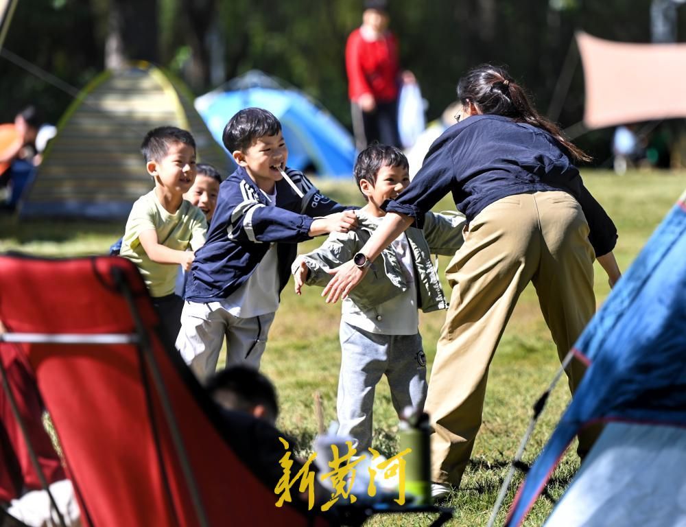 市民公园露营，乐享秋日暖阳