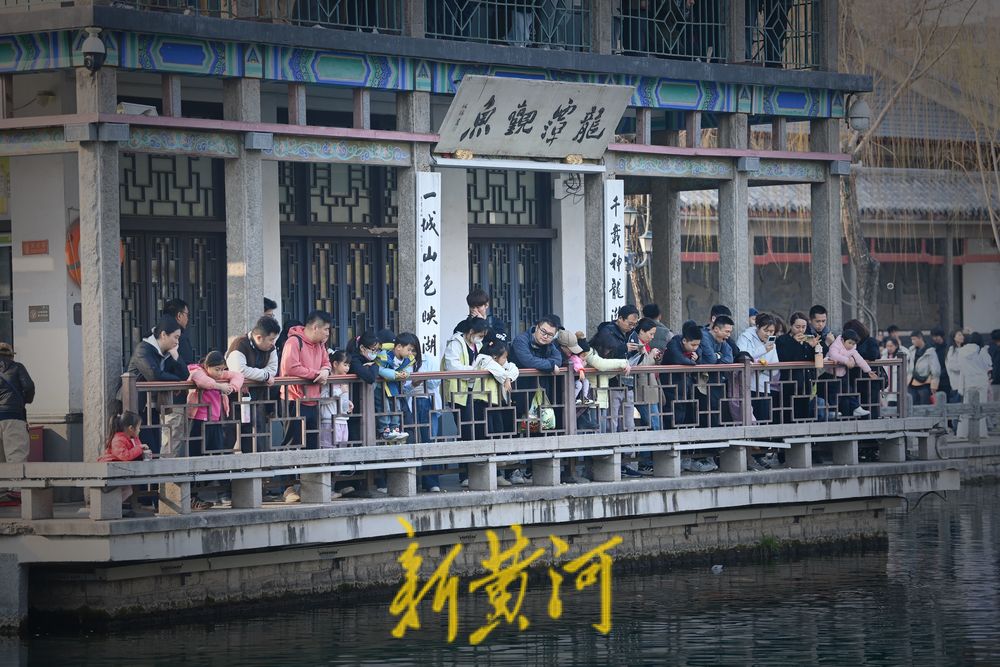 气温回暖春意浓 遛娃踏青好时光