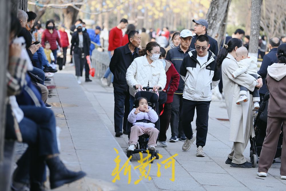 气温回暖春意浓 遛娃踏青好时光