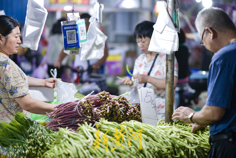 济南蔬菜15涨27降25平，青叶类价格进一步回落  
