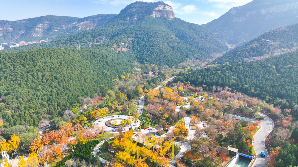 旅游路变身“初冬画廊” 千佛山南麓现层林尽染美景