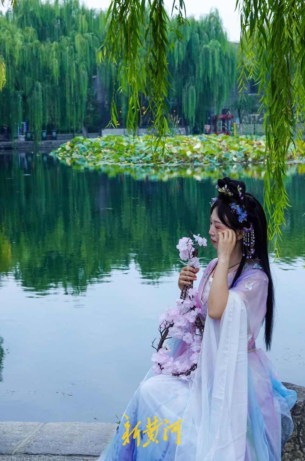 济南百花洲秋色入画来，残荷垂柳倒映成景