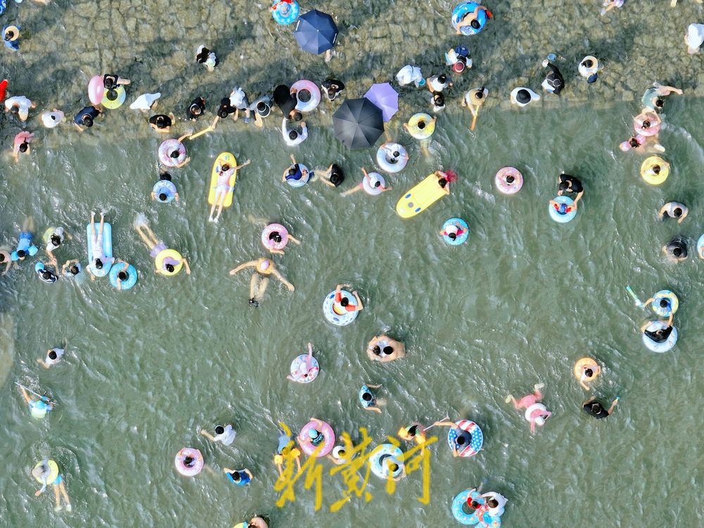 泉城中伏迎高温 济南市民小型湿地里戏水消夏