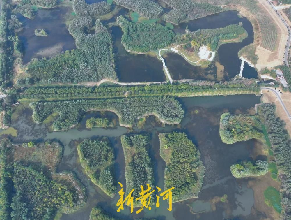 赏秋好去处，济南小清河源头湿地公园美景上线