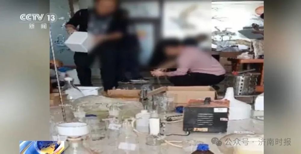 缴获毒品大麻12万克，济南警方侦破一起特大制贩毒品案