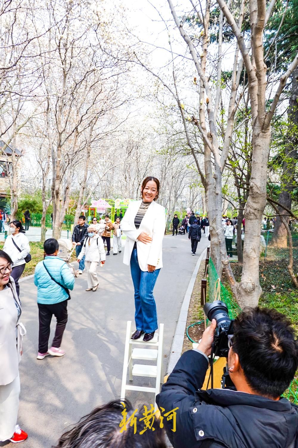 济南：赏花游带火“梯子上的商拍经济”