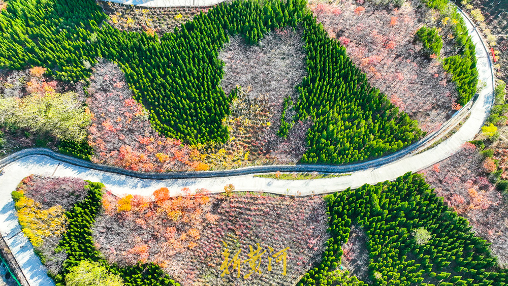 济南明天降雨上线,周日降温来了,最低气温将降至4~8℃