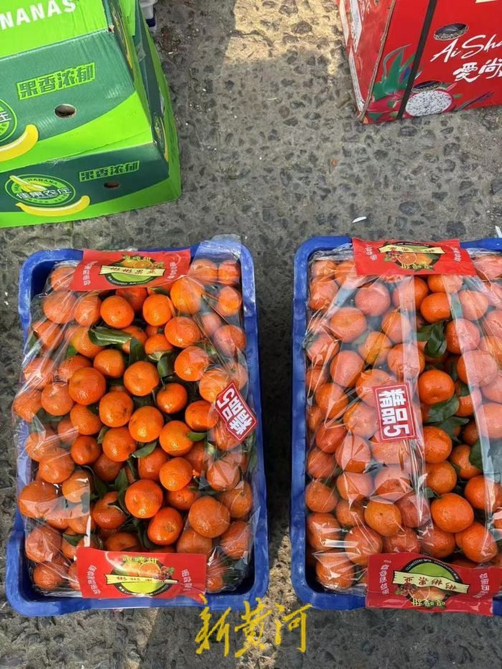 春节采购热“装满”菜篮子，记者实探济南农产品市场：白菜萝卜寓意好，带鱼虾仁成C位