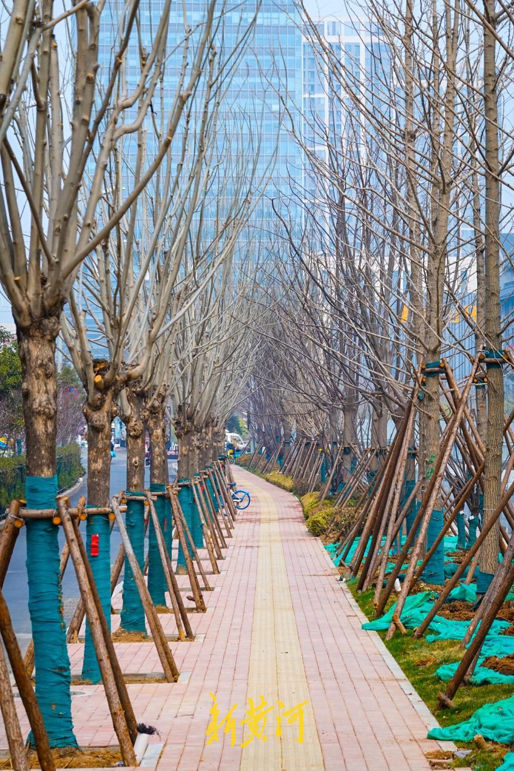 济南东泺河变身“诗词长廊”，二安文化刻上护栏