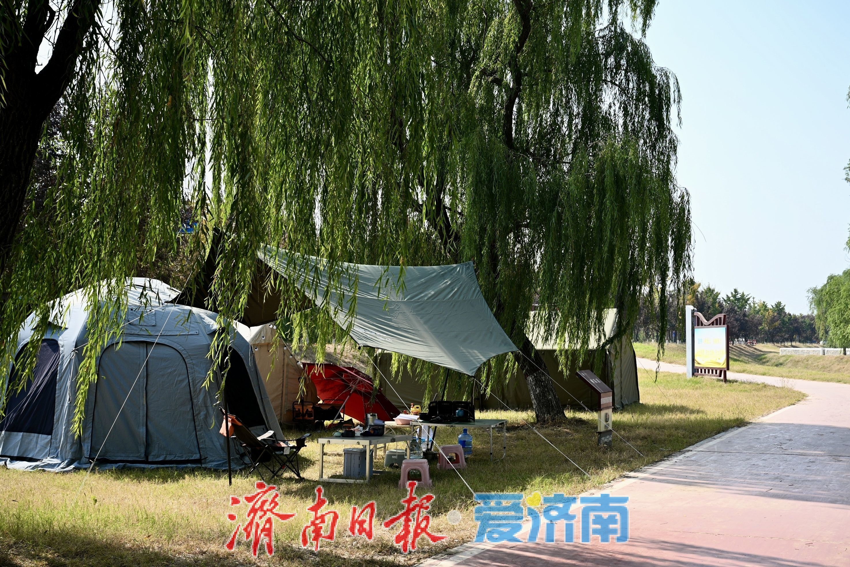 秋韵满黄河，露营引人流，济南黄河沿岸成休闲新地标