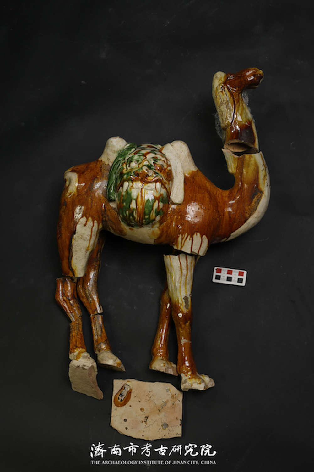 济南新出土50余件唐三彩，创多项“山东之最”，详解背后玄机