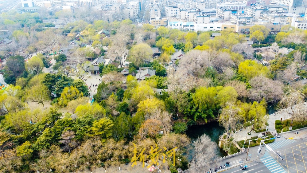 垂柳泛绿与碧水相伴，济南护城河春色渐浓