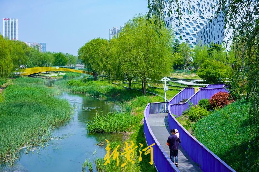 水清岸绿鸟归来，看济南腊山河畔的华丽蝶变