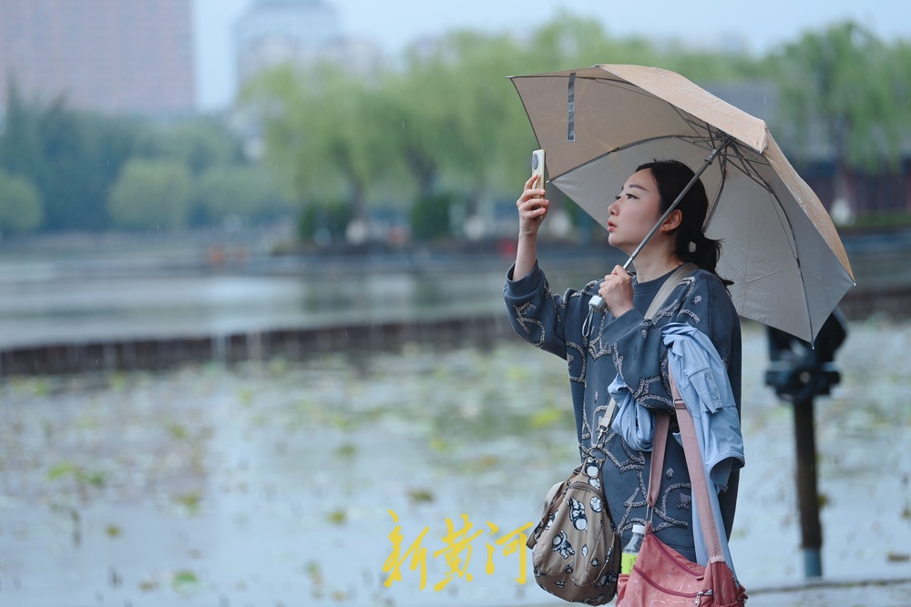 雨中漫步大明湖，邂逅翠绿朦胧中的浪漫