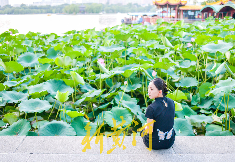 明湖堤岸变身网红打卡点  沉浸式体验“夏雨荷”赏荷
