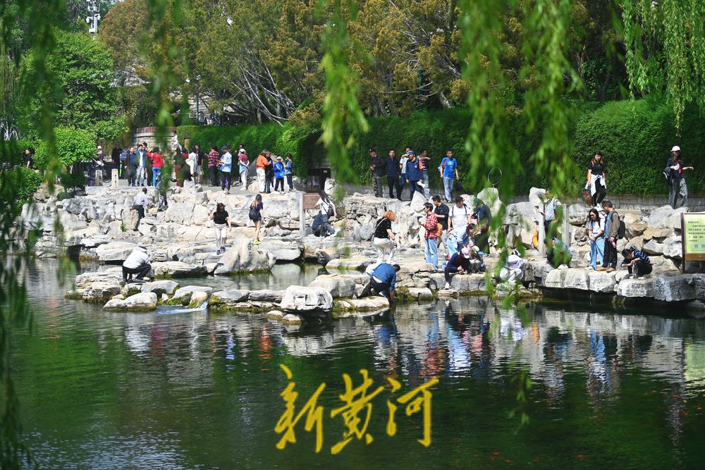 人潮涌动!护城河畔泉水游持续升温 - 济南社会 - 舜网新闻